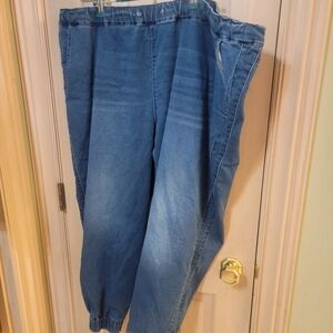 Womens Plus SZ 3X Skinny Girl Ankle Length Jogger Type Jeans